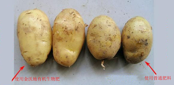 �������ȈD