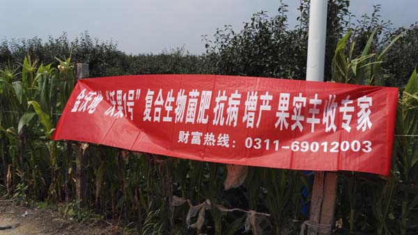 梨樹使用效果 梨樹使用效果